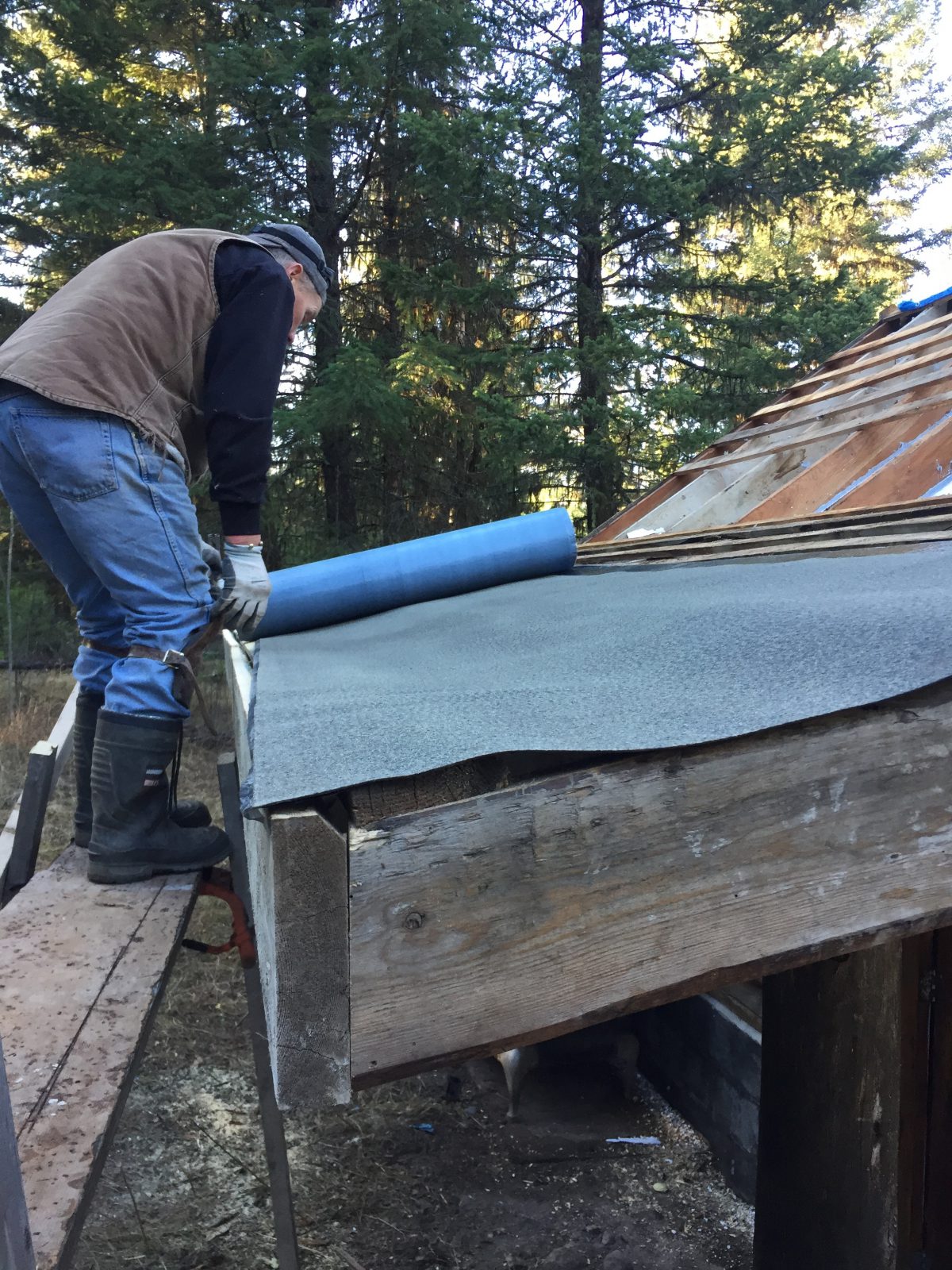 tar paper on shed roof Off Grid Cabin Living