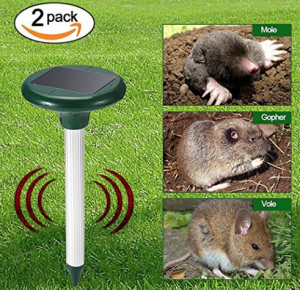 rat trap, mouse, squirrel deterent