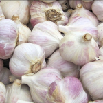 How to Grow Garlic