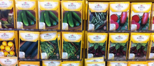 Vegetable Seeds for Sale