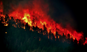 wildfire, cariboo fires, chilcotin fire