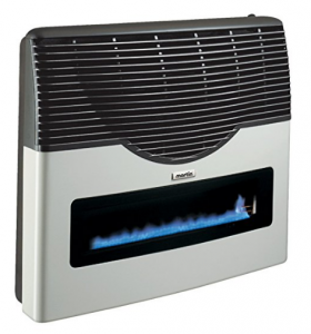 Direct Vent Propane Wall Heater