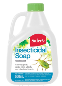 Insecticidal Soap